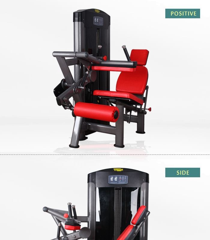 BFT-3009 Seated Leg Curl, Leg Curl Machine_BFT Fitness Equipment