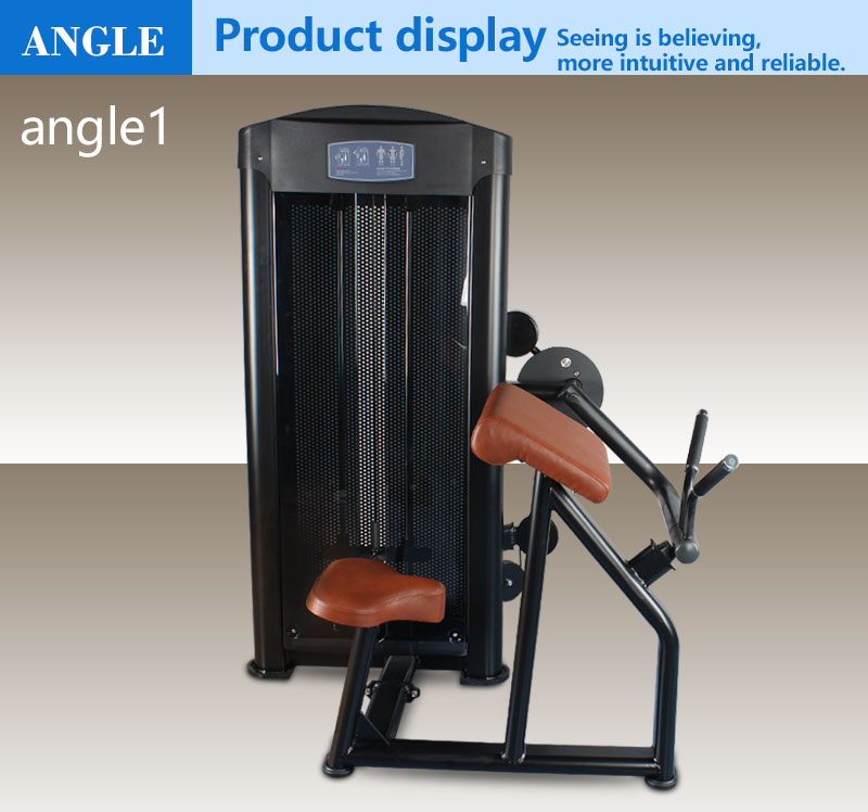 BFT3007B High Quality Biceps Curl Machine For Sale_BFT Fitness Equipment