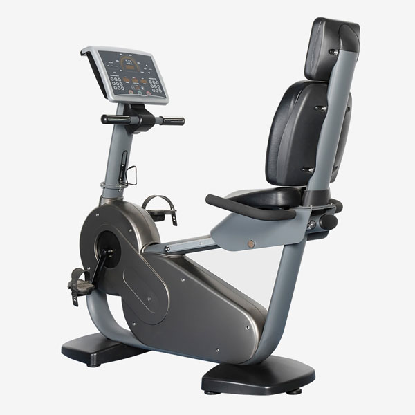 Recumbent Bike