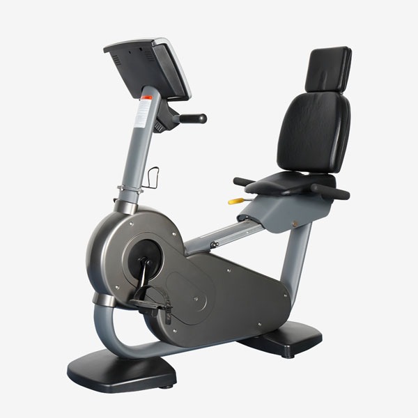 Recumbent Bike