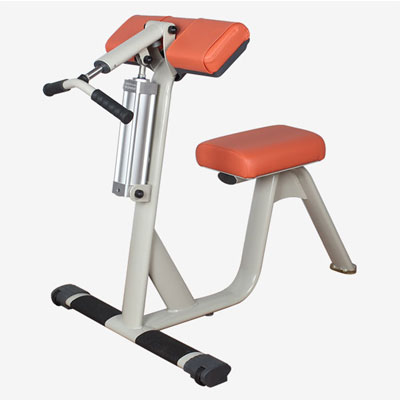 Biceps Curl