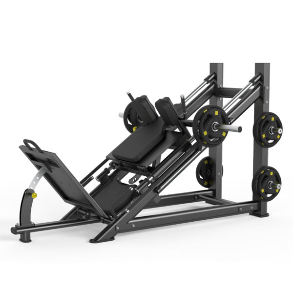 45°Leg press/Hack Squat