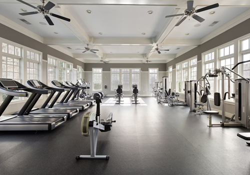 The Role of Cardio Gym Equipment in Member Experience