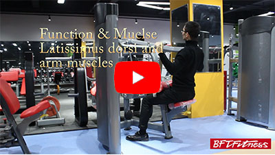 How to use Lat pulldown machine - High Pully?