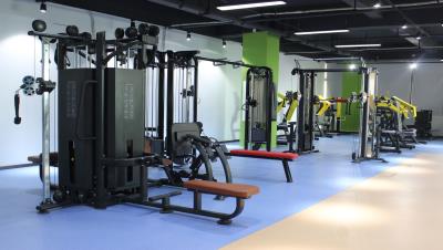 What gym equipment is best for triceps workout