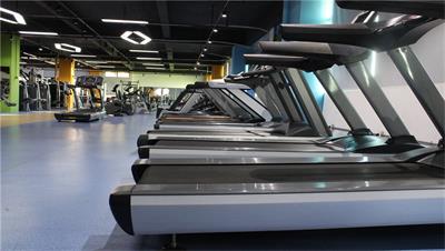 where are you purchase the exercise equipment?