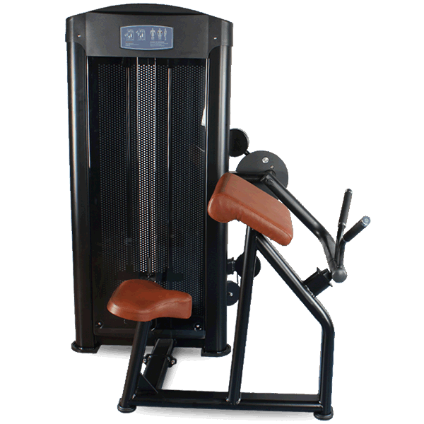 BFT3007B High Quality Biceps Curl Machine For Sale_BFT Fitness Equipment