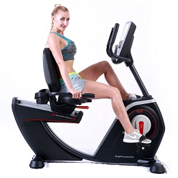 <strong>BCE602 Seated Exercise Recumbent Bike For Sale</strong>