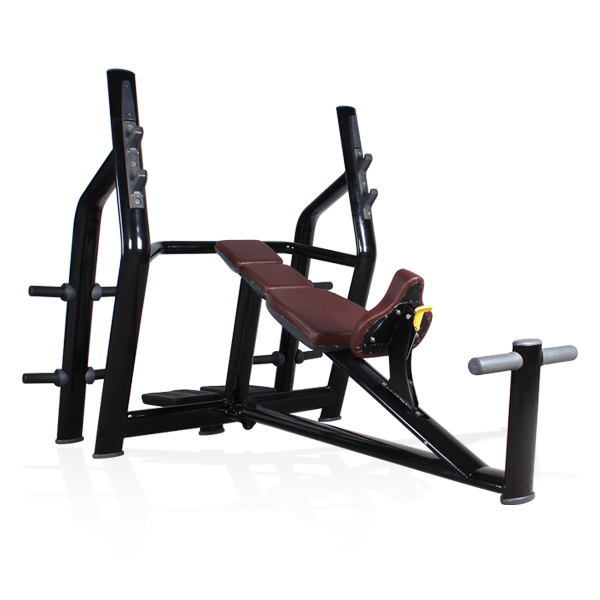 Bft 2028 Incline Exercise Bench For Sale Fitness Equipment