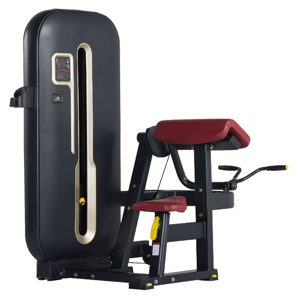 BFT7006 Bicep Curl exercise equipment_BFT Fitness Equipment