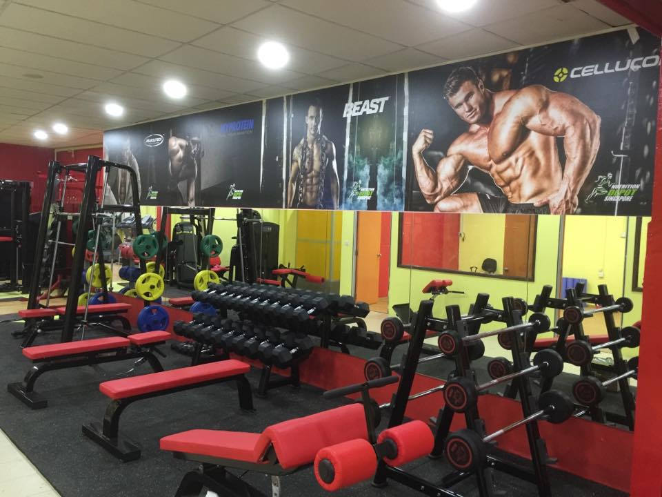 Singapore strength gym equipment