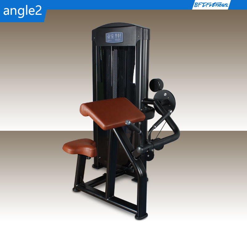 seated bicep curl machine