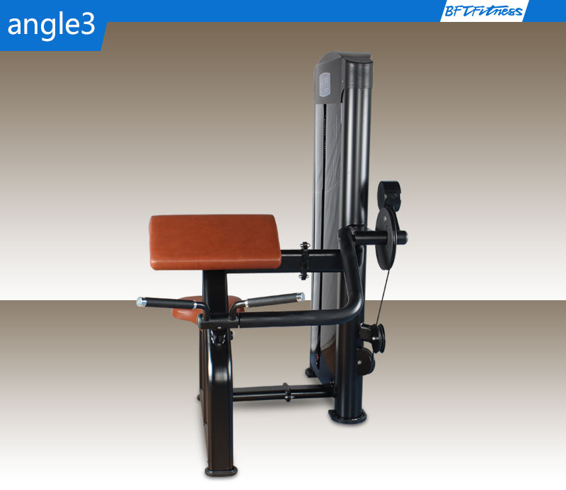BFT3007B High Quality Biceps Curl Machine For Sale_BFT Fitness Equipment