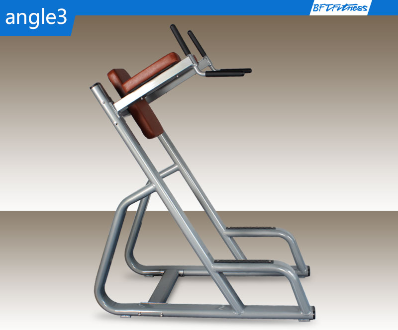 BFT3050 Leg Raises Machine For sale _ China Fitness Equipment Factory