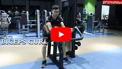 How to Do Seated Biceps Curl Machines Exercise