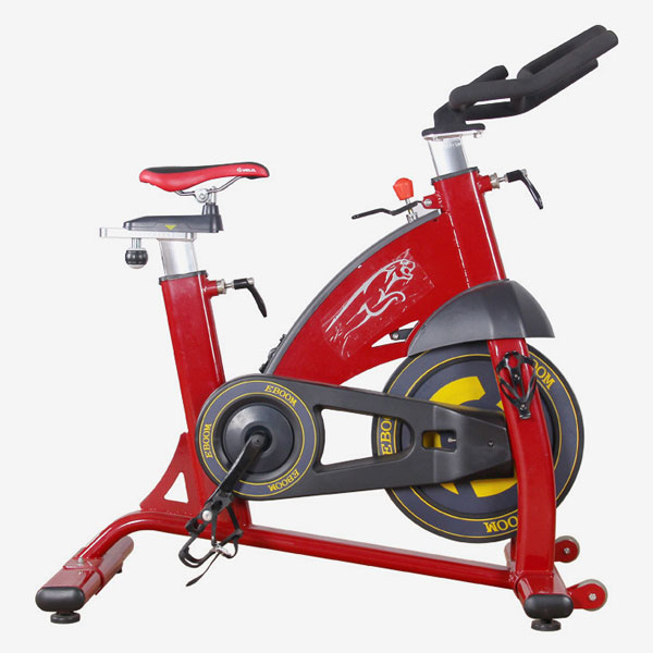 Spinning Bike