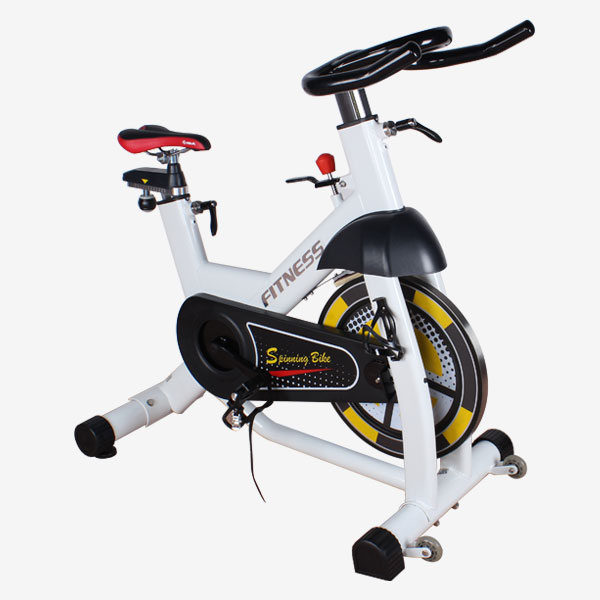 Spinning Bike