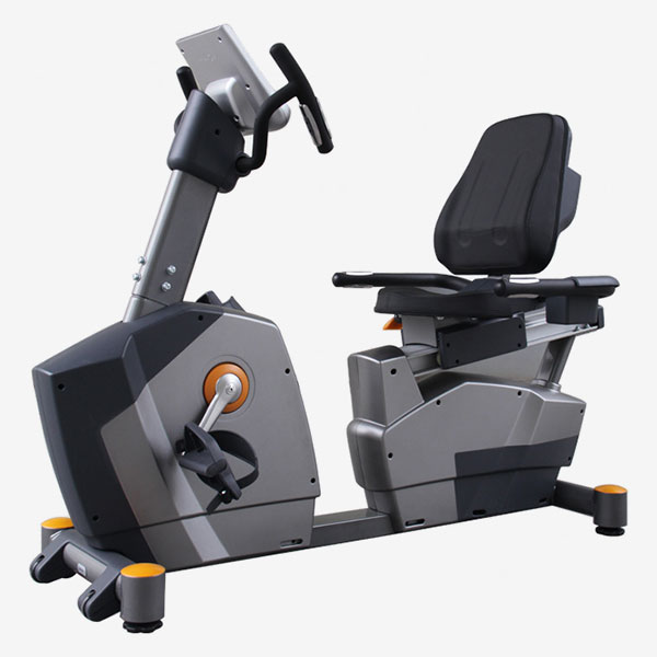 Recumbent Bike