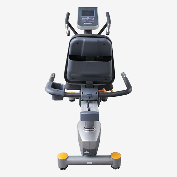 Recumbent Bike