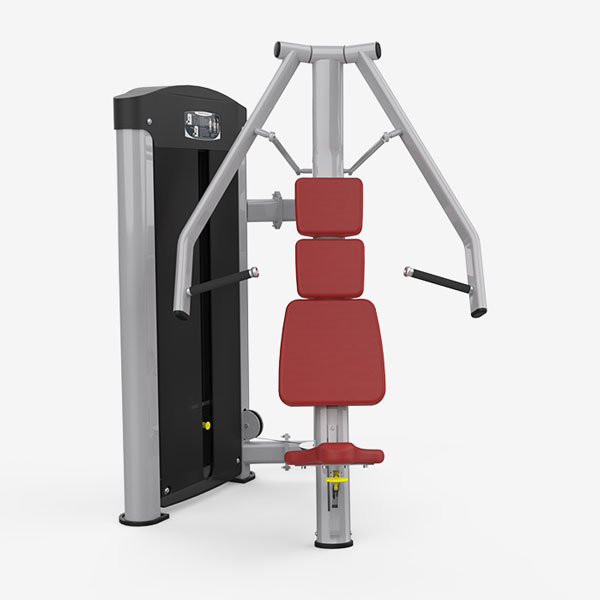 Chest Press