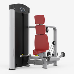 Triceps Press