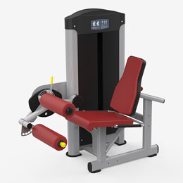 Leg Extension & Seated Leg Curl