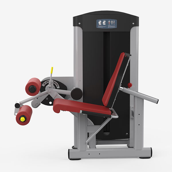 Leg Extension & Seated Leg Curl