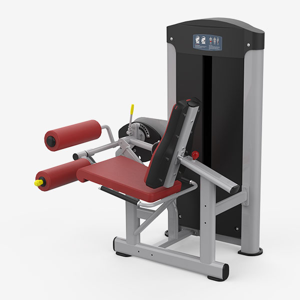 Leg Extension & Seated Leg Curl