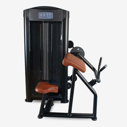 Biceps Curl
