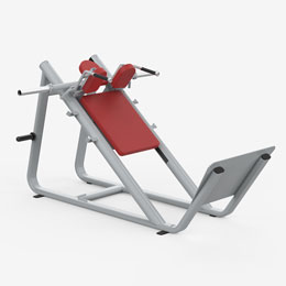 Hack Squat