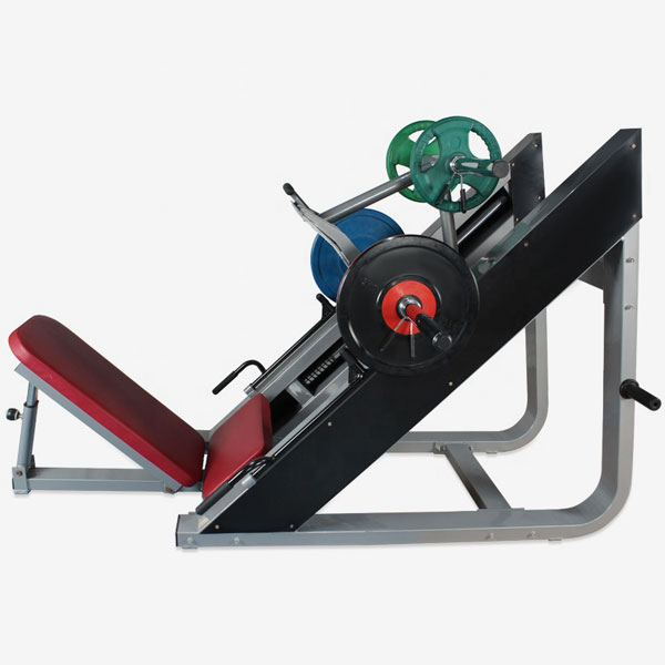 45 Kiking Leg Press