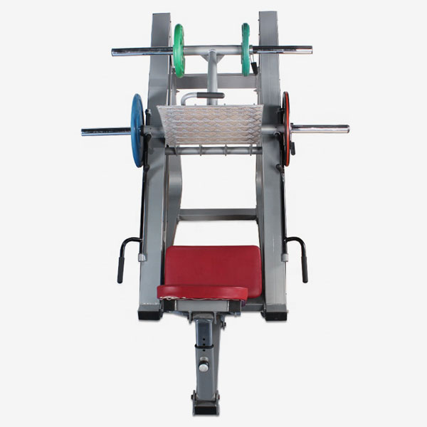 45 Kiking Leg Press