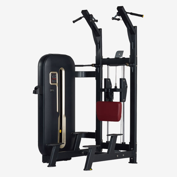 Assisted Chin / Dip BFT-7008 | BFT Fitness