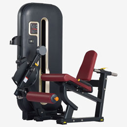 Leg Extension