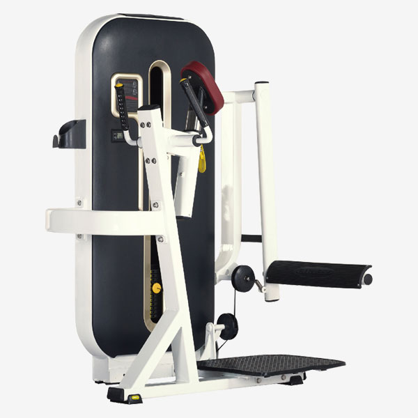Standing quad extensions online