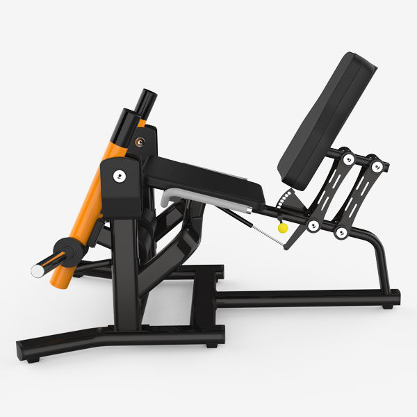 Leg Extension