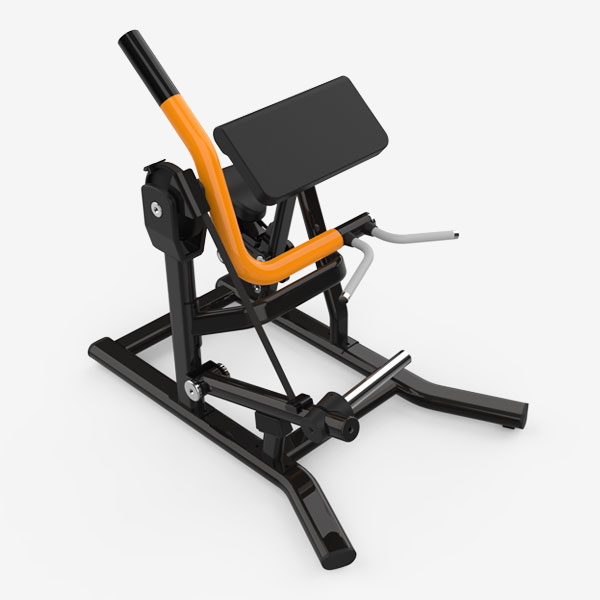 Biceps Curl