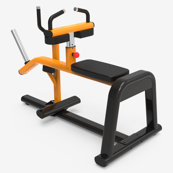 Calf Raise