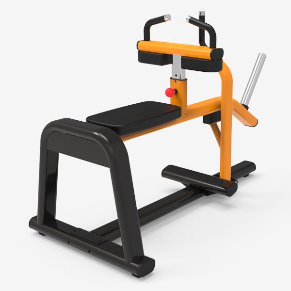 Calf Raise