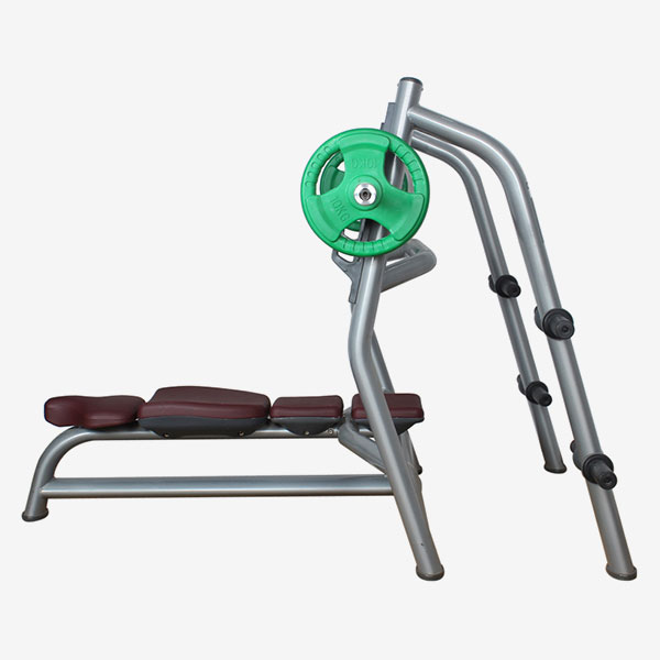 Weight Bench (Luxury)