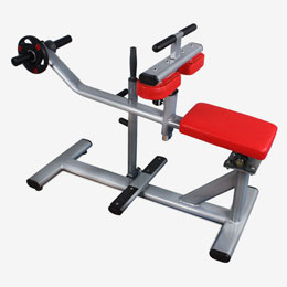 Seated Calf