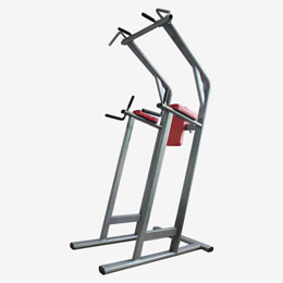 Chin/Dip/Leg Raise