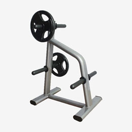Olympic Weight Tree