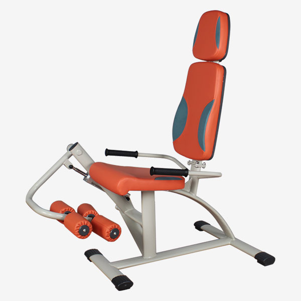 Leg Extension / Curl