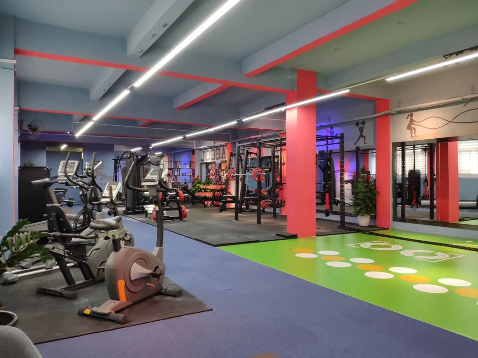 Cardio Fitness Equipment