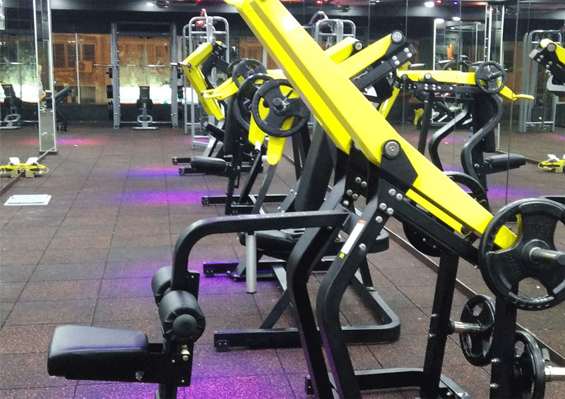 Singapore Plate Loaded