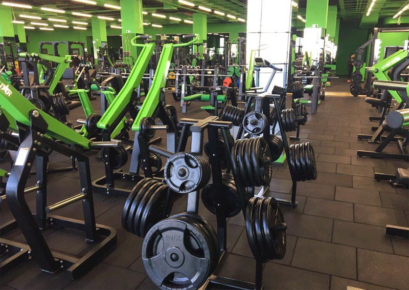 Ukrainian Plate Loaded