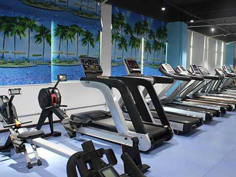 Cardio Fitness Equipment