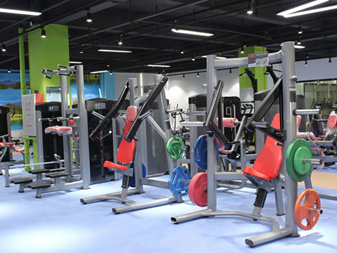 Plate Loaded fitness equipment