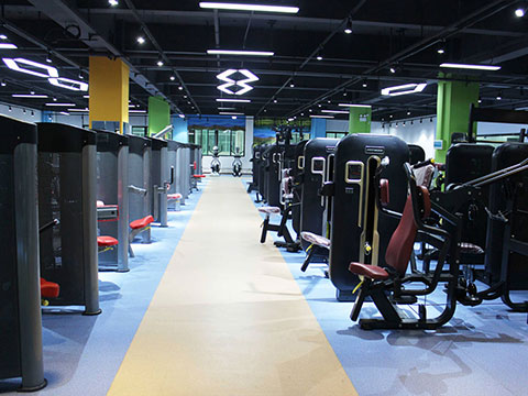 Selectorized Fitness Equipment